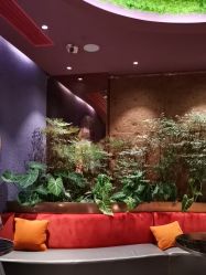 -花隐·美芙炫海菲秀皮肤管理中心