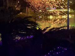 -东南花都花博园