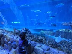 -华夏文旅海洋公园