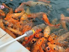 -南京金牛湖风景区