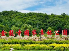 -金龙寺国家森林公园