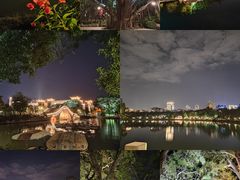 -西湖公园(鼓楼区)