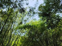 -晓港公园