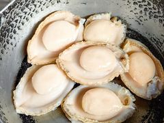 -原志优秀食材·匠心料理·海胆主题(金亿广场店)
