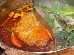 -黔诚多彩火锅(甲秀楼店)