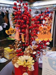 -卡莫瑜伽·普拉提