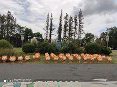 -上海长兴岛郊野公园