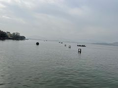 -西湖外事游船(湖滨二公园外事游船码头)