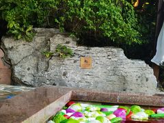 -天目湖涵田半山温泉