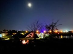 -春花秋色城市公园