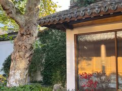 -鲤院·新中式美学·庭院餐厅(夫子庙店)