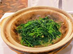 砂锅红薯叶-南阳食府·河南豫菜(南阳驻京办店)