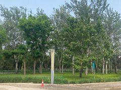 -泰丰公园