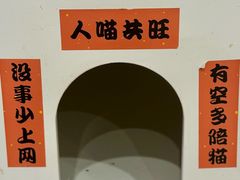 -楼上猫咖(罗湖店)