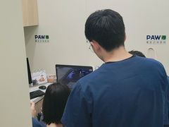-佩兹宠物医院肿瘤专科·眼科·牙科(黄浦店)