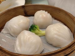 -东方御宴海鲜酒楼(棕泉酒店)