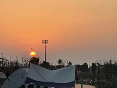 -春花秋色城市公园