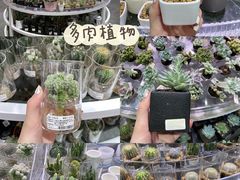 -KKV(深圳kk one 店)