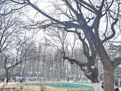 -睦南公园
