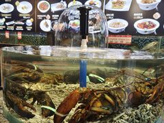 -寻味顺德·珍之宝酒楼(银钻店)