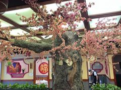 -八大碗·地道东北菜(中街店)