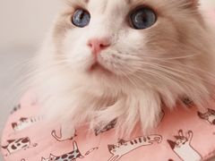 -拜鲁耶动物诊疗中心·宠家动物医院