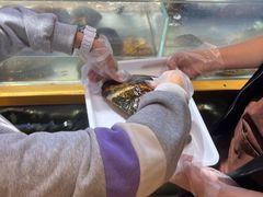 -十八字金银饰·拼豆·开蚌手工体验团建(君太百货店)