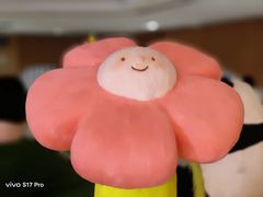 -岭南站NOVA