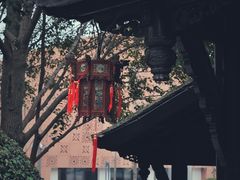 -活水公园