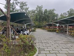 -合肥滨湖国家森林公园