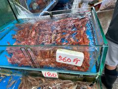 -广东名门