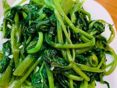 -三猫黑鱼花(南大店)