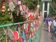 -西双版纳原始森林公园