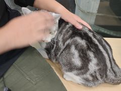 -瑞鹏宠物医院·超声·骨科·奇麟分院(蜀都万达店)