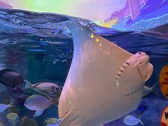 -沈阳海洋探索中心