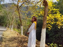 -广州白江湖森林公园