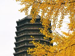 -玲珑塔公园