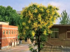 -西安理工大学(金花校区)