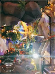 点击看大图 -恐龙探索乐园(磁器口店)