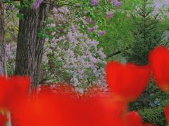 -哈尔滨文化公园