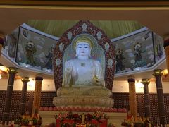 -龙口南山旅游景区