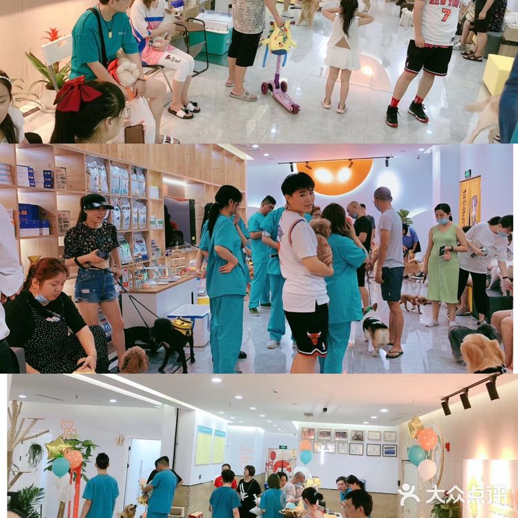 一家有温度的宠物医院🐈欣宠宠物🦮