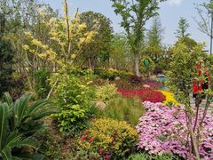 -上海长兴岛郊野公园