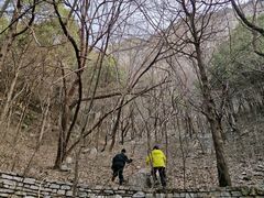 -佛慧山
