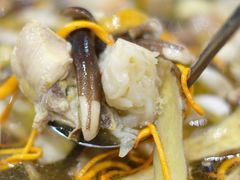 -菌之家·专业纯野生菌火锅·特色炒菌