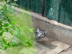 -青藏高原野生动物园
