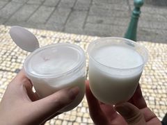 -洪馨椰子