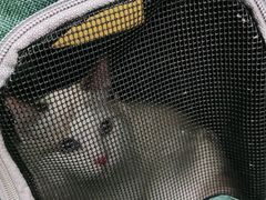 -美联众合动物医院·24h京西诊疗中心