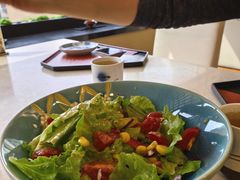 -彩葉·樱花屋日本料理(动物园店)