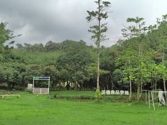 -黄埔油麻山森林公园